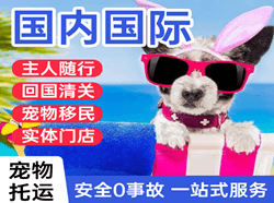 日照山字河机场货运国际宠物托运 【国